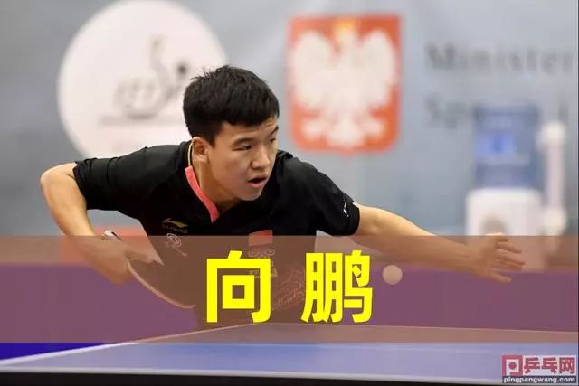 过往记录 过往记录